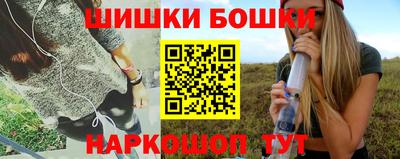 шишки Кандалакша